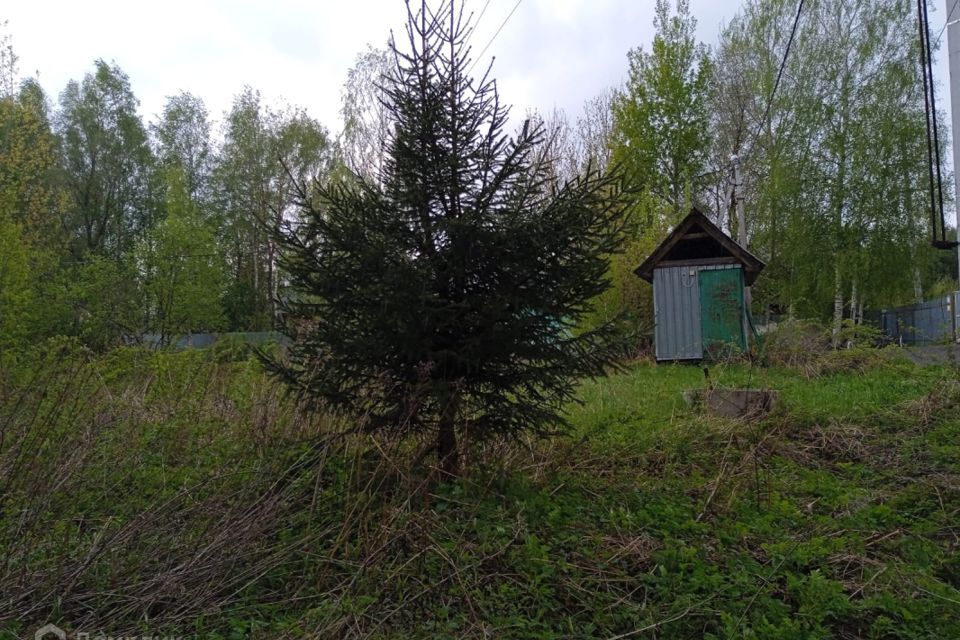 земля городской округ Павловский Посад садоводческое некоммерческое товарищество Возрождение фото 3