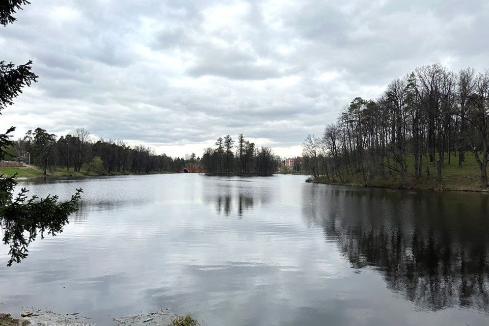 земля городской округ Мытищи село Марфино фото 7