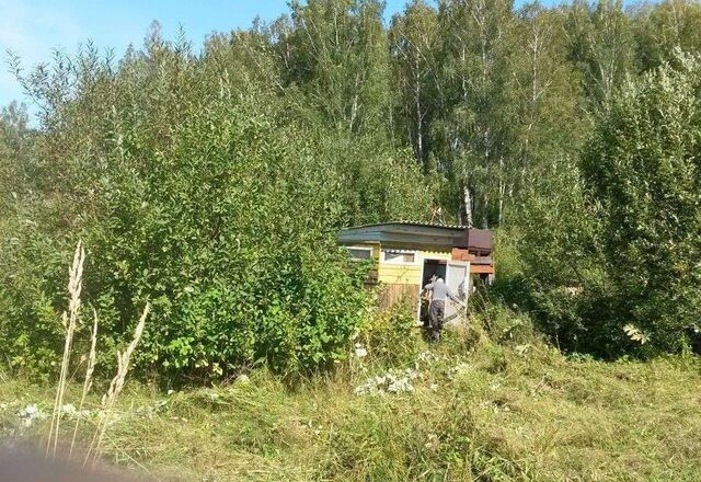 Плотниковский сельсовет, садоводческое товарищество Солнечное, Сокур фото