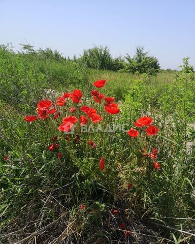 земля ул Полевая Апшеронское городское поселение фото