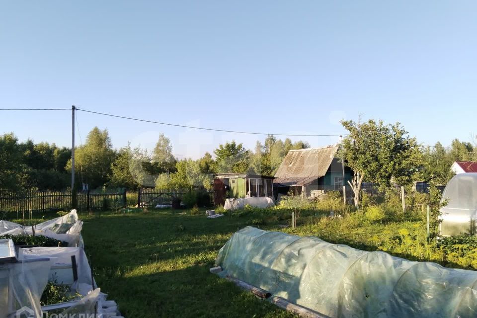 земля г Смоленск муниципальное образование Смоленск, садовое некоммерческое товарищество Меркурий фото 3