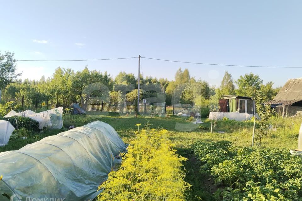 земля г Смоленск муниципальное образование Смоленск, садовое некоммерческое товарищество Меркурий фото 1