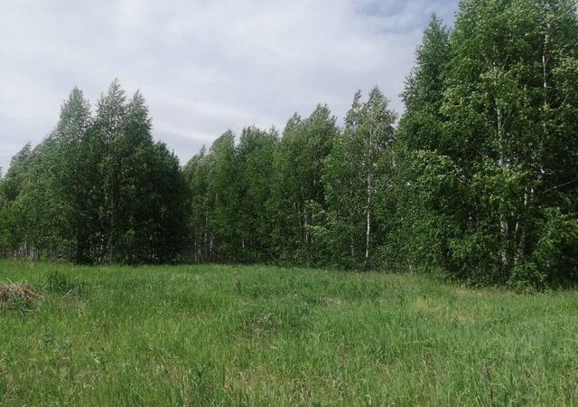 Мирненское сельское поселение, СНТ Касарги, 553А фото