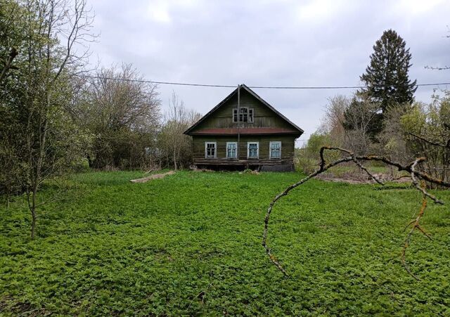 д Заорешье Дзержинское сельское поселение, Луга фото