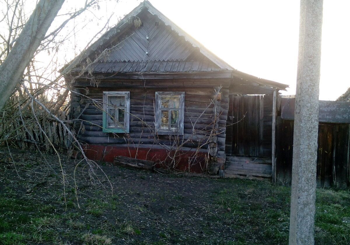 земля р-н Краснослободский г Краснослободск Старогоряшинское сельское поселение фото 2
