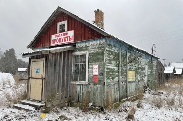земля дом 38 Кяппесельгское сельское поселение, Медвежьегорск фото