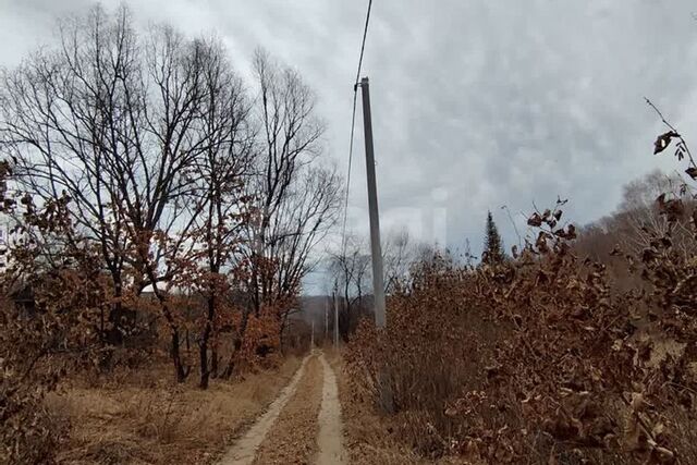 п Моховая Падь фото