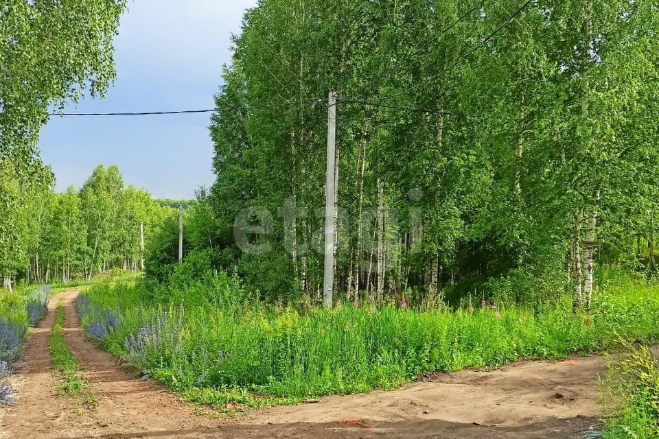 земля г Новосибирск ул Зеленодолинская 161гп городской округ Новосибирск фото 4