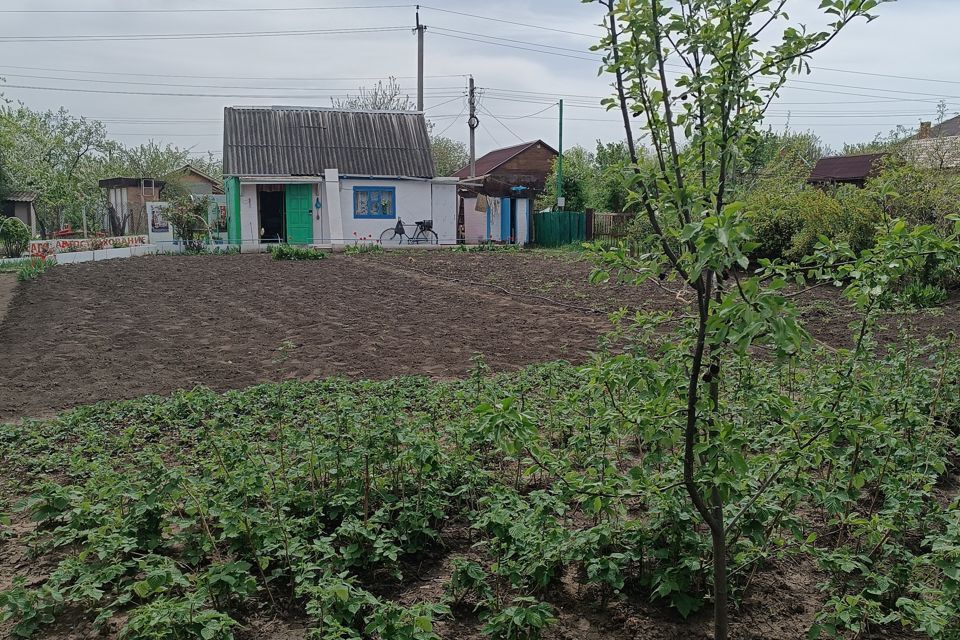 земля р-н Азовский Новоалександровское сельское поселение фото 2