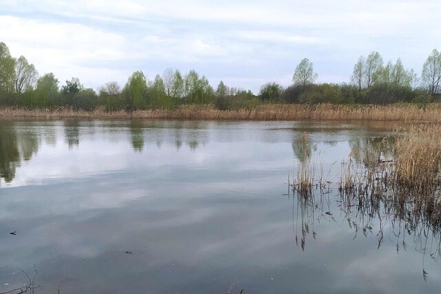 городской округ Выкса, рабочий посёлок Шиморское фото