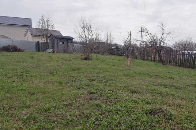 городской округ Арзамас, деревня Берёзовка фото