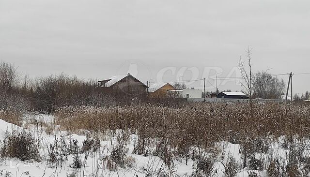 городской округ Тюмень, садовое товарищество нка, улица Мичуринцев, 130 фото