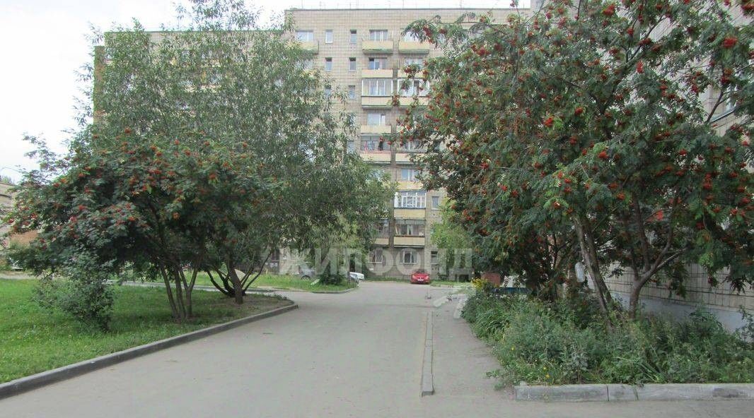 квартира г Новосибирск ул Забалуева 19 Площадь Маркса фото 4