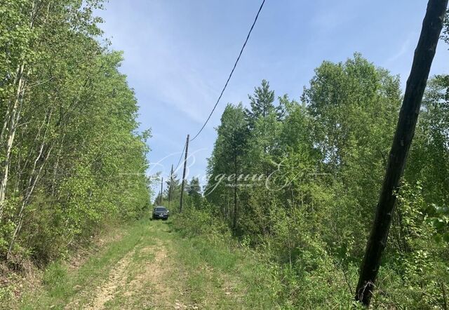 снт Скиф ул Мечта Ушаковское муниципальное образование, Иркутск фото