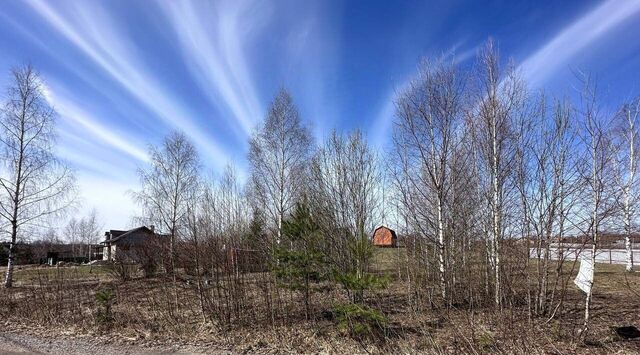 снт Заповедное озеро ДНТ, Переславль-Залесский городской округ фото