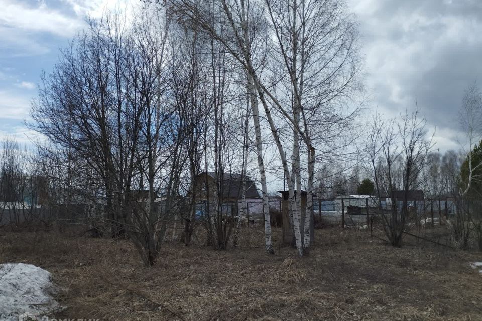 земля р-н Новосибирский снт Крутиха ул 29 фото 8