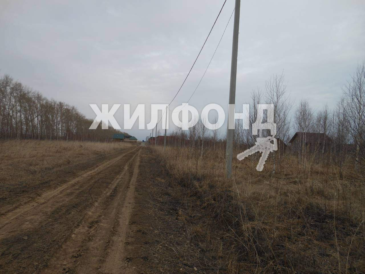 земля р-н Новосибирский с Ленинское Прибрежная улица фото 4