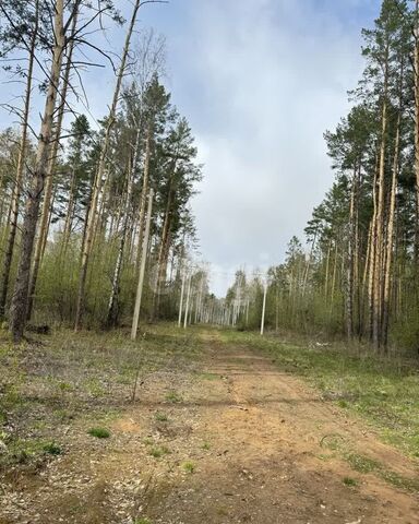 земля р-н Октябрьский коттеджный пос. Лесной парк фото