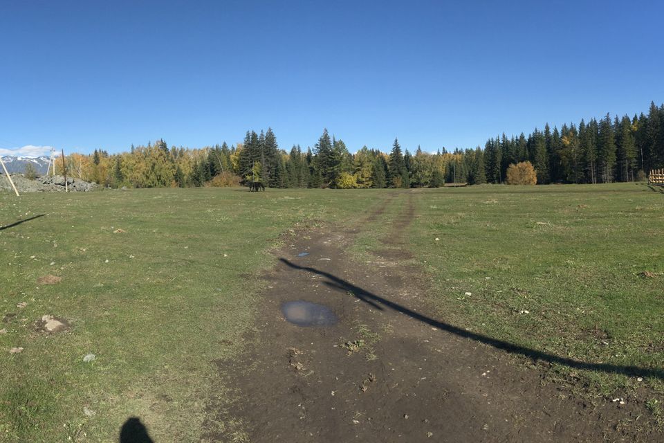 земля р-н Усть-Коксинский село Верх-Уймон фото 10