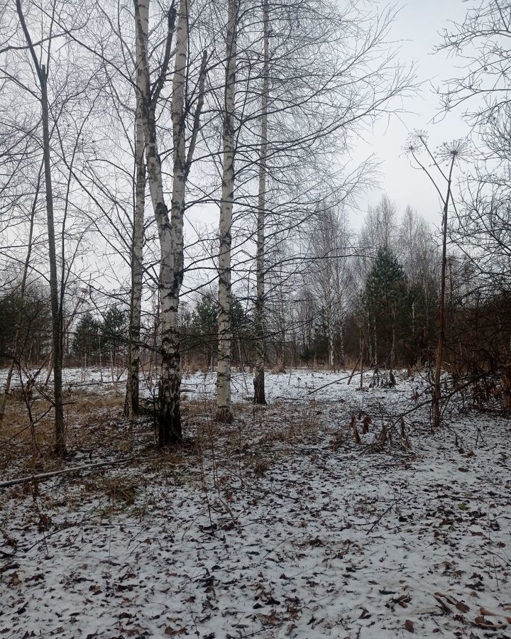 земля городской округ Сергиево-Посадский д Переславичи 89 км, Богородское, Ярославское шоссе фото 12