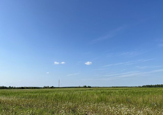 земля с Домашово Домашовское сельское поселение, Ржаница фото