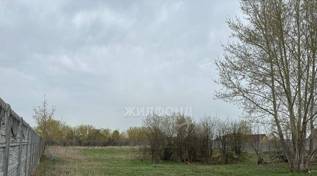 ул Береговая Толмачевский сельсовет фото