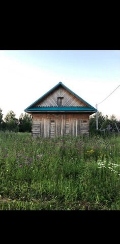 Березнякское сельское поселение, Кукмор фото