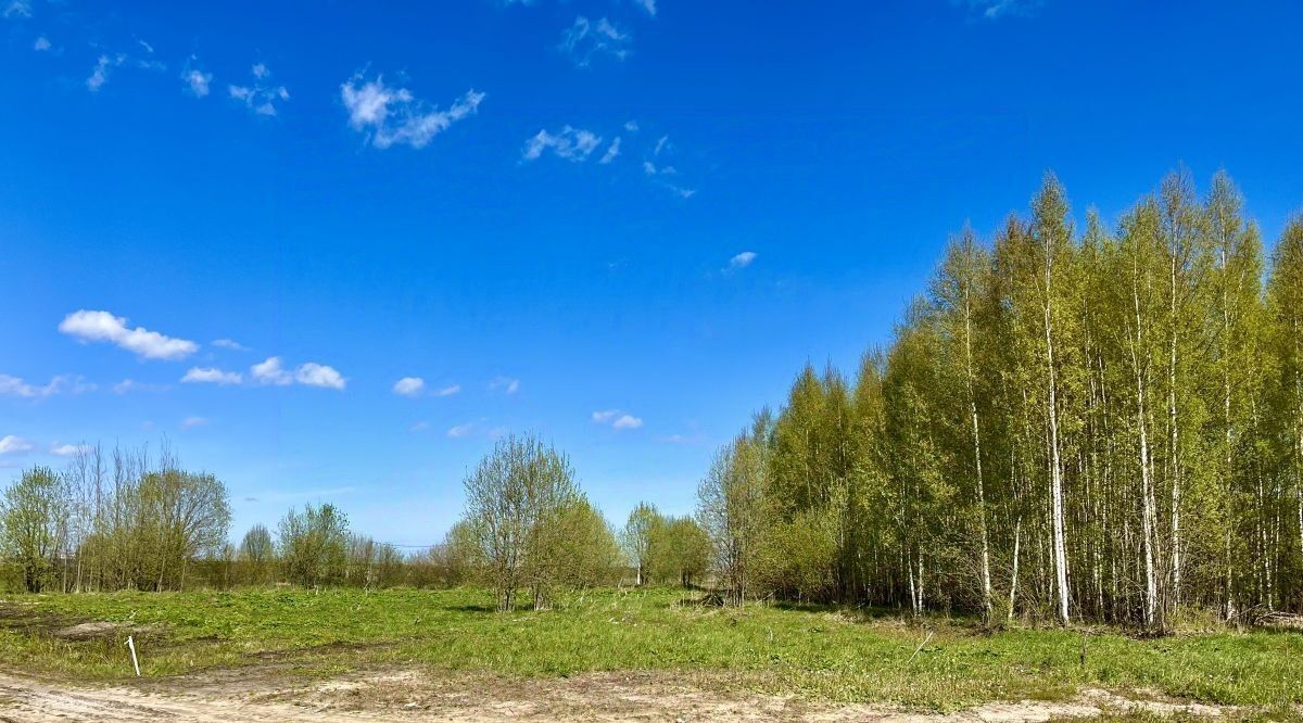 земля р-н Тосненский д Глинка ул Взлетная Федоровское городское поселение фото 3