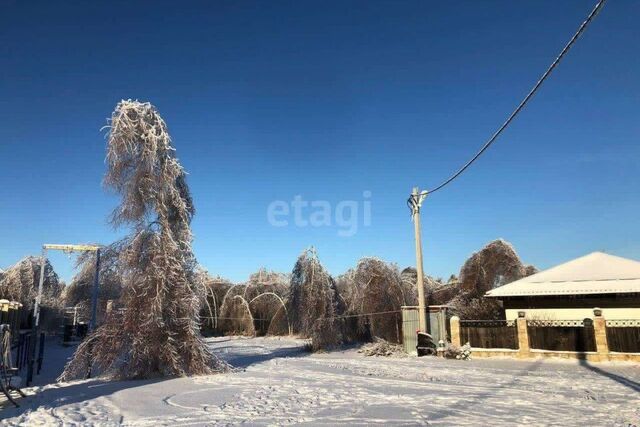 село Безводное фото