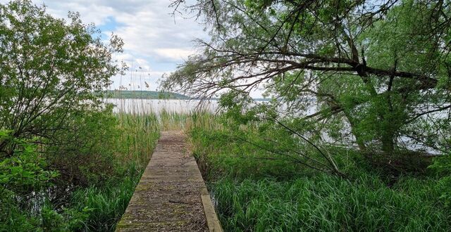 ул Приморская Маслова Пристань, Никольское сельское поселение фото