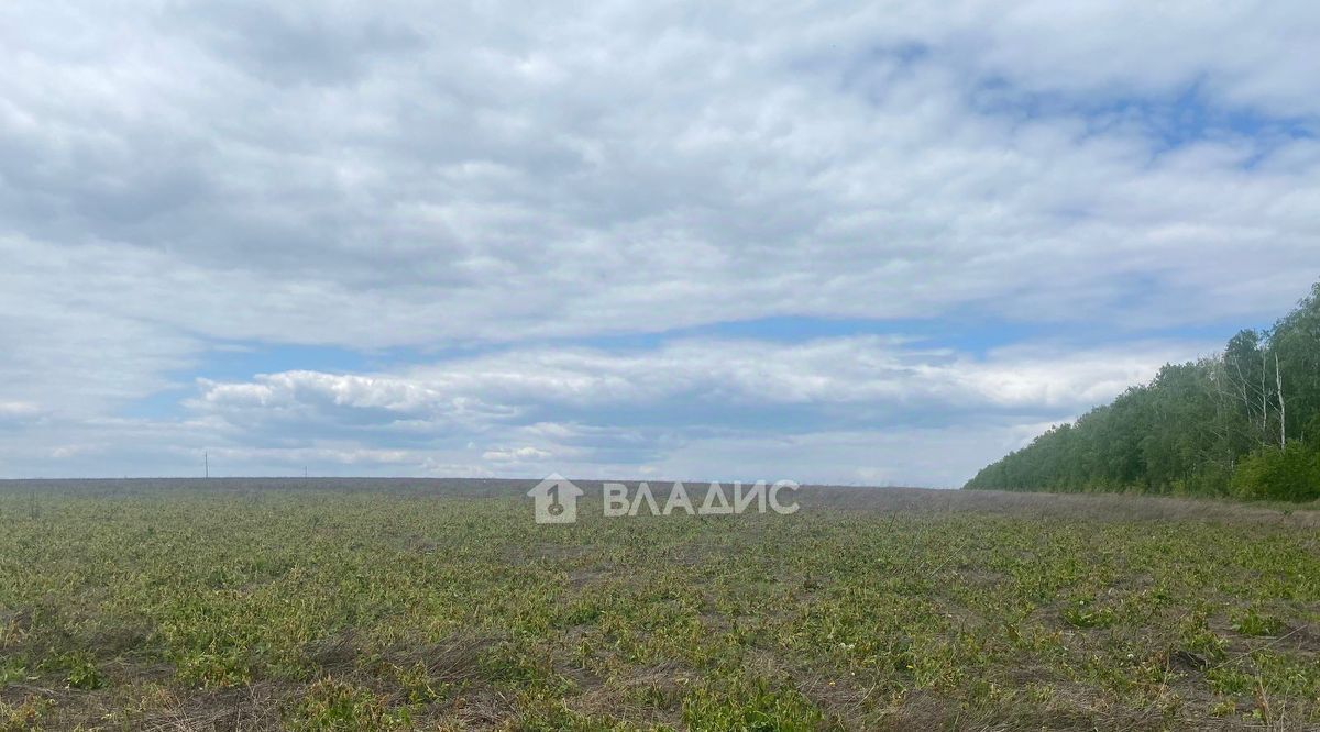 земля р-н Мокшанский с Рамзай ул Дачная сельсовет, Рамзайский фото 4