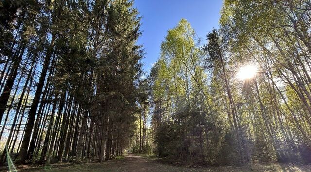 с пос, Малые Соли Парк кп, ул. Сосновая фото