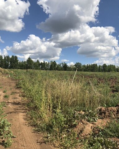 земля Кремлёвская фото