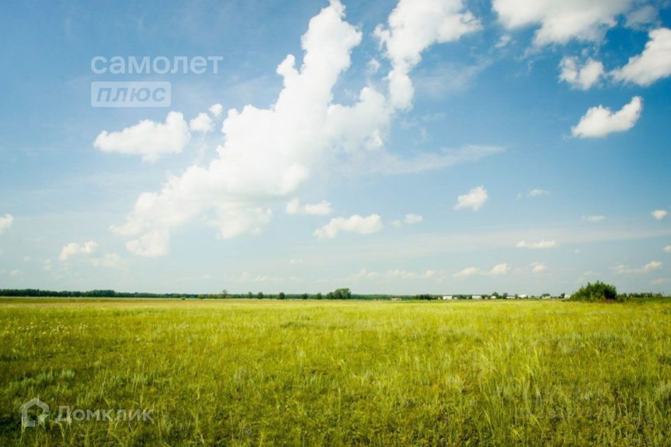 земля р-н Троицкий сельское поселение Новомирское фото 2