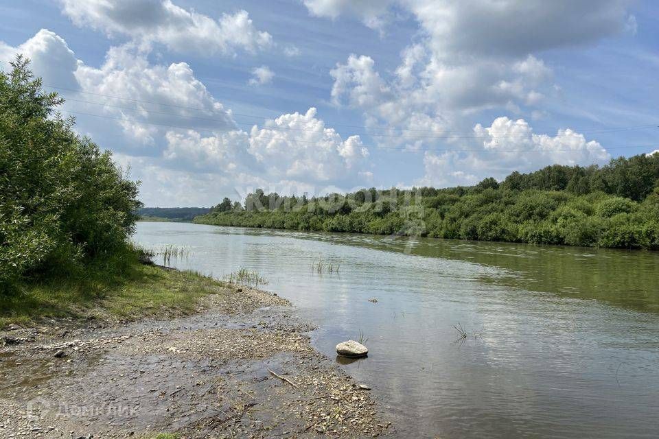 земля р-н Тогучинский садовое товарищество Заря фото 5