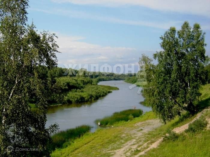 земля р-н Тогучинский садовое товарищество Заря фото 6