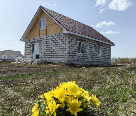 д Круглое Баландинское сельское поселение, Челябинск фото