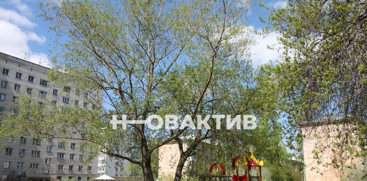 квартира г Новосибирск Затулинский ул Громова 7 Площадь Маркса, жилмассив фото 27