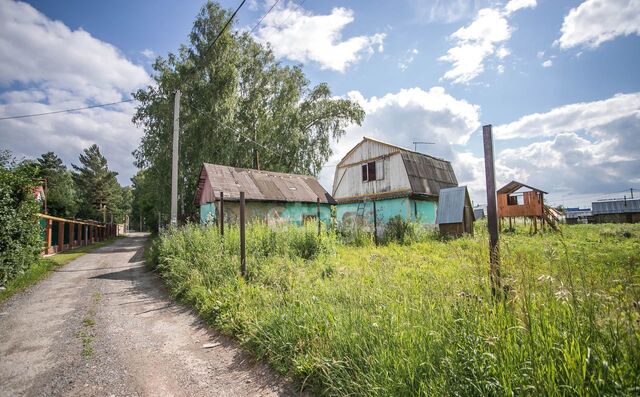 земля снт Строитель Барышевский сельсовет, Новосибирск фото