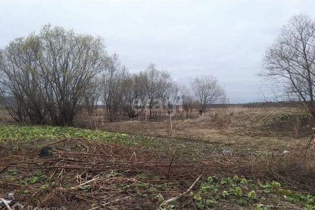 село Воскресенское фото