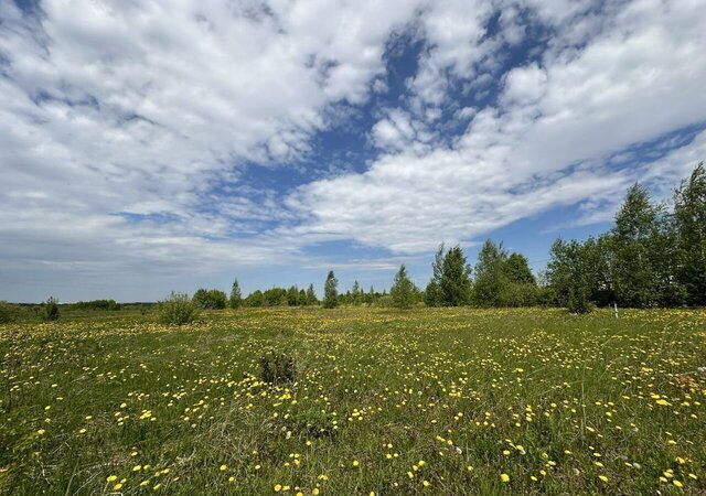 Пригорское сельское поселение, Смоленск фото