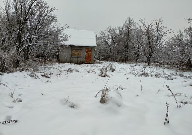 Снежское сельское поселение, Брянск, с. Толмачево фото