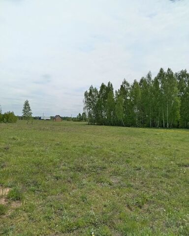 земля ул Береговая 18 Гнёздовское сельское поселение, Смоленск фото