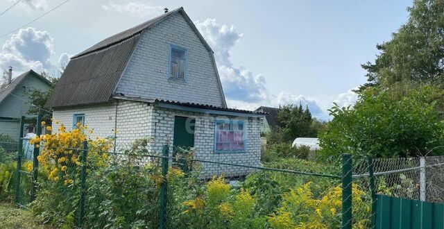 Нетьинское сельское поселение, СДТ Юбилейное, Брянск фото