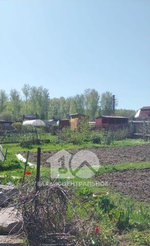 земля снт Экспериментатор Барышевский сельсовет, 458 фото