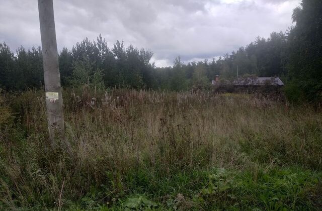 земля с Большебрусянское Двуреченск фото