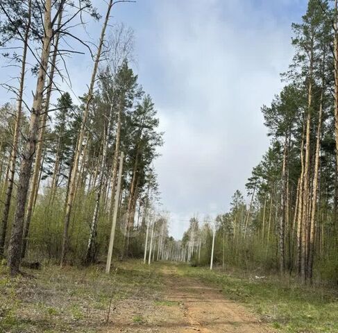 земля р-н Октябрьский Лесной парк кп фото