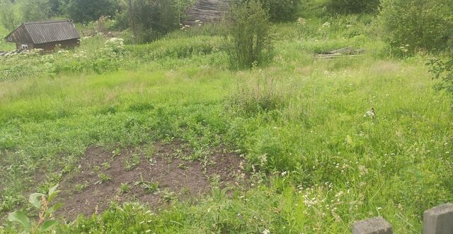 земля Богашёвское сельское поселение, садовое товарищество Молодёжный, Лоскутово фото