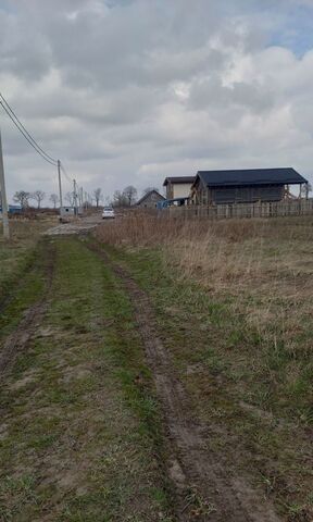 Новомосковское сельское поселение, Калининград фото