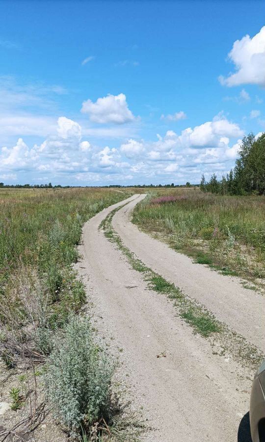 земля р-н Сосновский д Шимаковка Долгодеревенское фото 1